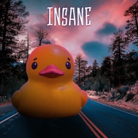Insane - EP - Sun Duck