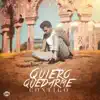 Quiero Quedarme Contigo