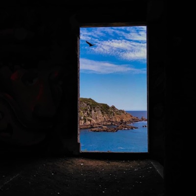 Disfruta (feat. Anasthir) - Single