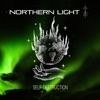 Self Destruction - Single