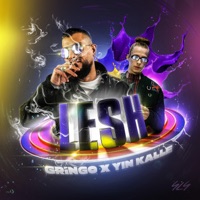 LESH - Single - GRiNGO & Yin Kalle