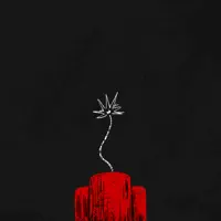 Tnt