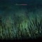 Electro Blues - Almunia lyrics