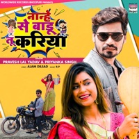 Nanhe Se Badu Tu Kariya - Single - Pravesh Lal Yadav & Priyanka Singh