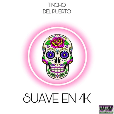 Suave en 4k (Aleteo)