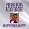 Freddie Jackson - I Could Use a Little Love (Right Now) artwork
