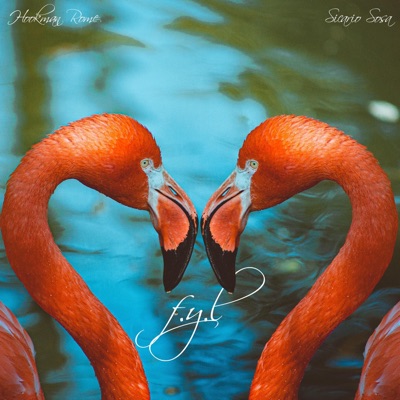 F.Y.L. (feat. Sicario Sosa) - Single