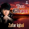 Zafar Iqbal - Humen Aur Jeene Ki