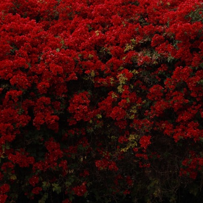 The One Freestyle - Single