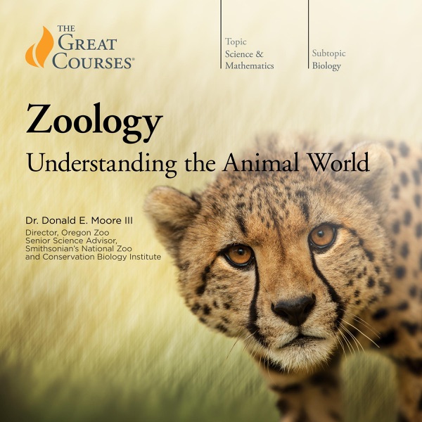 Zoology: Understanding the Animal World (Original Recording)
