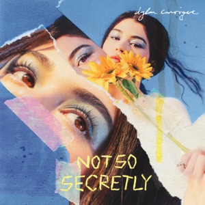 Not So Secretly - Single