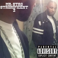 Stagnificent 2 - Mr. Stag