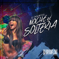 Noche de Solteria - Single - DJ Bryanflow & Nene Blass