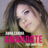 Amándote (feat. Jandy Feliz) - Anna Carina