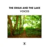The Swan and The Lake, Charlotte C., Reinhard Vanbergen & Rodrigo Sha - Thursday Morning