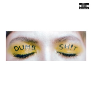 DUMB SH!T (REMIXES) - Single