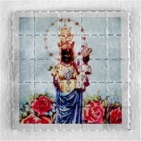 True Black Madonna (feat. Roughneck Jihad & Dj Dops) - Single - Il Torsolo