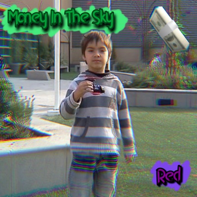 Money In The Sky - Single