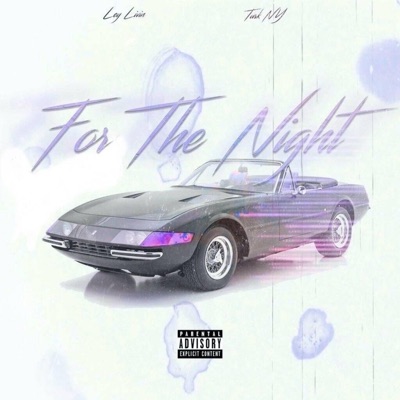 For the Night (feat. Turk Ny) - Single