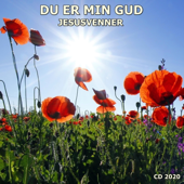 Glede, Glede, Glede, Strømmer Innenifra