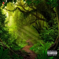 La Jungla - Single - Bailz Pagliacci