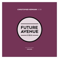 Gobi - Single - Christopher Hermann