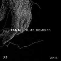 Numb - Remixed - 28mm