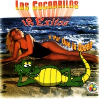 Los Cocodrilos