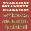 Orquestra Serenata Tropical - Anahi