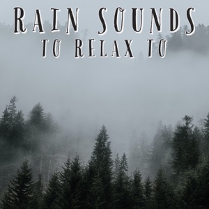 Rain Sounds To Relax To - EP