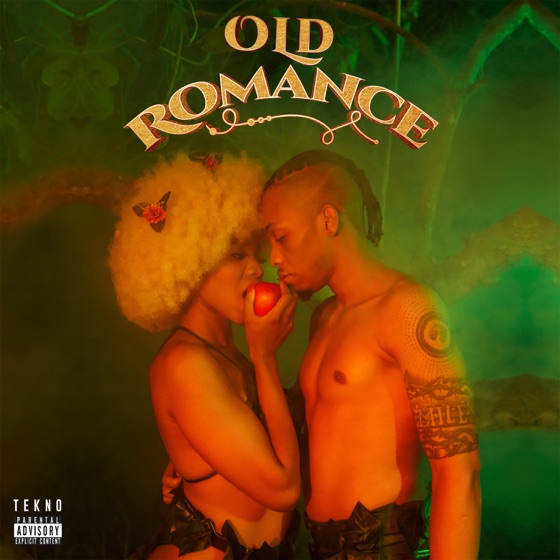 Cover artwork for Enjoy