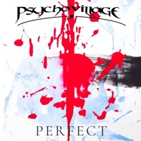 Perfect (Single Edit) - Single - Psycho Village