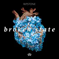 Broken State