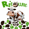 Le Best Of - Ricoune