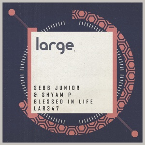 Blessed in Life - Single