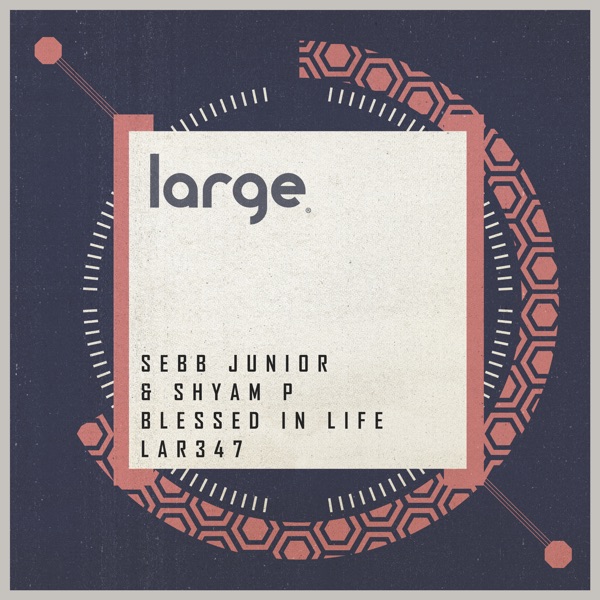 Blessed in Life - Single