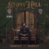 Stony Hill - Damian "Jr. Gong" Marley