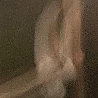 To the Grave - Single - Nora