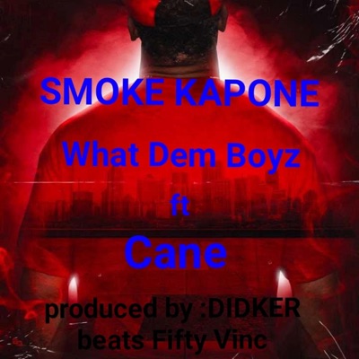 What Dem Boyz (feat. Cane) - Single