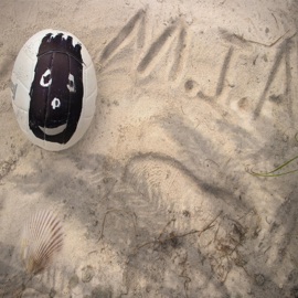 Roasting Marshmallows Deialmo