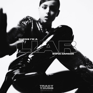Guess I'm a Liar (Tracy Young Radio Remix)