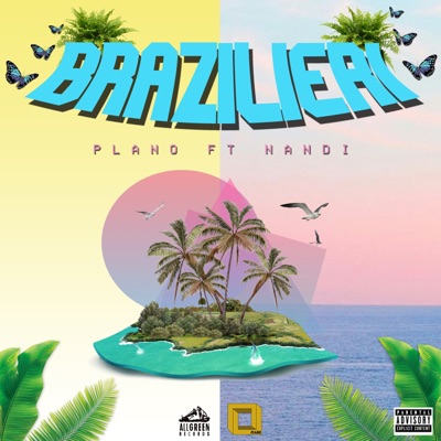 Brazilieri (feat. Nandi & SELEKTAH GANG) - Single