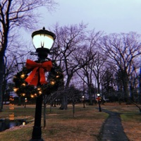 Damage Through the Season - Single - Jonny Empire