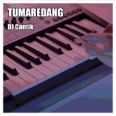 Tumaredang artwork