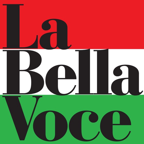 Cover artwork for Amore e Musica