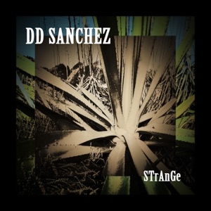 DD SANCHEZ: STrANgE (feat. Sanchez)