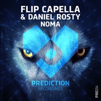 Noma - EP - Flip Capella & Daniel Rosty