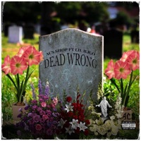 Dead Wrong (feat. Lil B.R.O.) - Single - Acs Shop