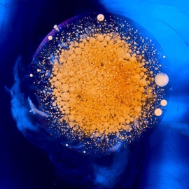 Trust Me on This Jokujekku