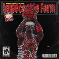 Impeccable Form - Miskeen Haleem & The Roses